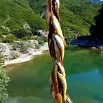 ベッド・アンド・ブレックファスト Prekal Park Kamping Shkodër