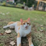Prekal Park Kamping 3*