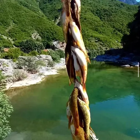 Bed & Breakfast Prekal Park Kamping Shkoder