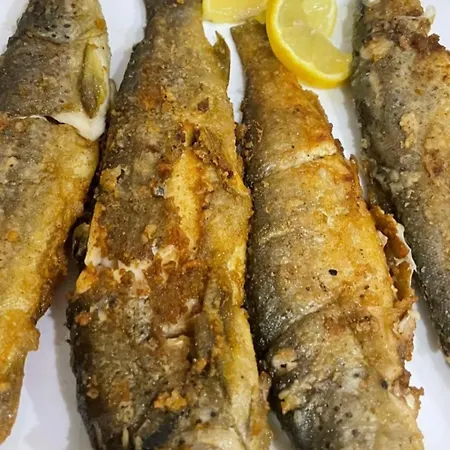 Prekal Park Kamping Alojamento de Acomodação e Pequeno-almoço Shkodër