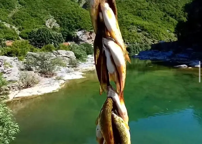 Bed & Breakfast Prekal Park Kamping Shkodër